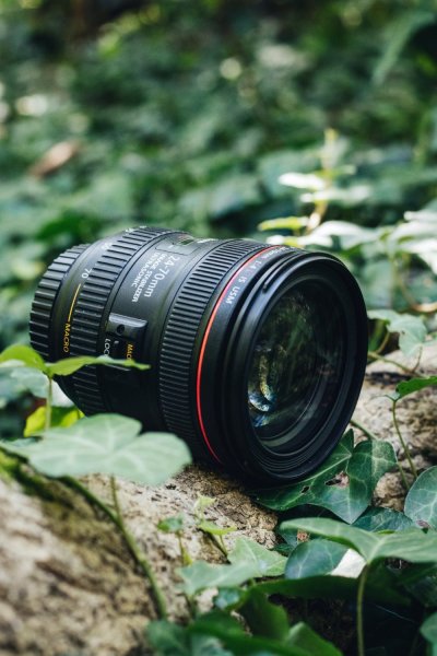 24-70mm lens photography