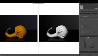 How to Convert to Black and White in Lightroom (Quick Guide)
