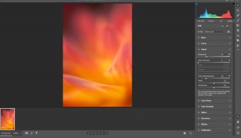 How to Avoid and Reduce Noise in Your Photos (A Practical Guide)