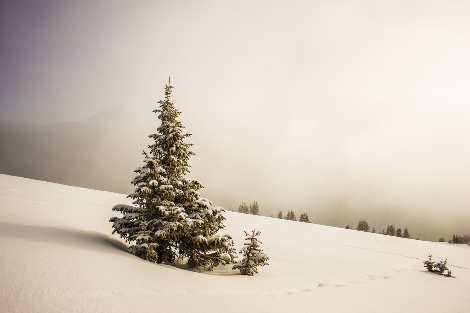 Nature photography