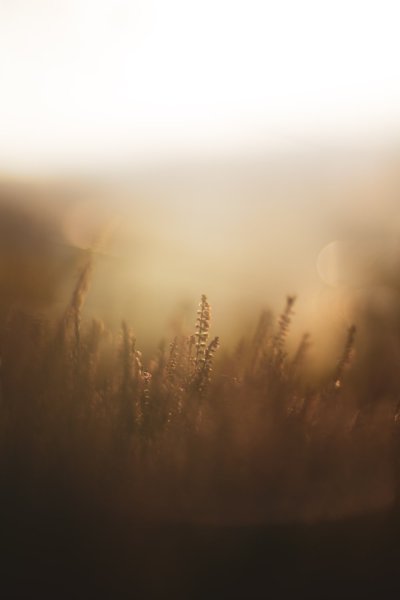 shutter priority mode