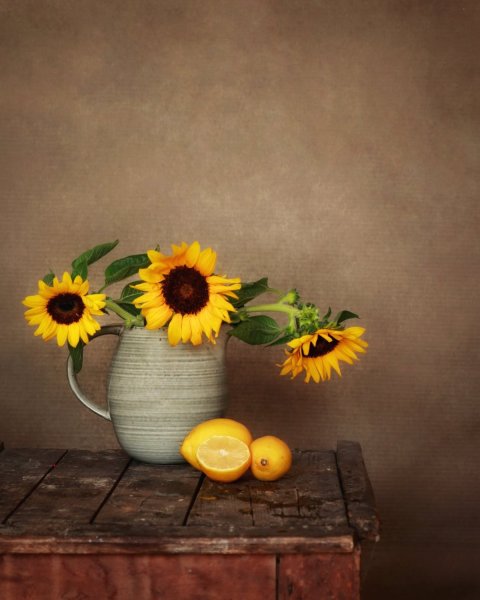 Still life photography