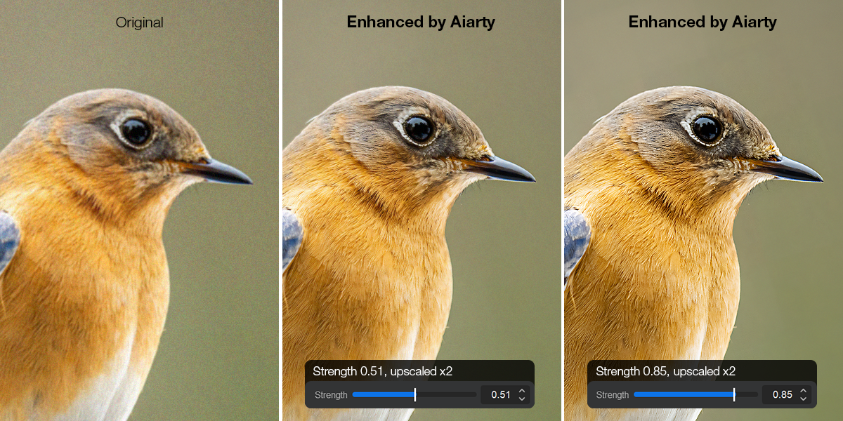 An AI Image-Quality Enhancer Like No Other: Improve Your Photo's Quality With Aiarty Image Enhancer
