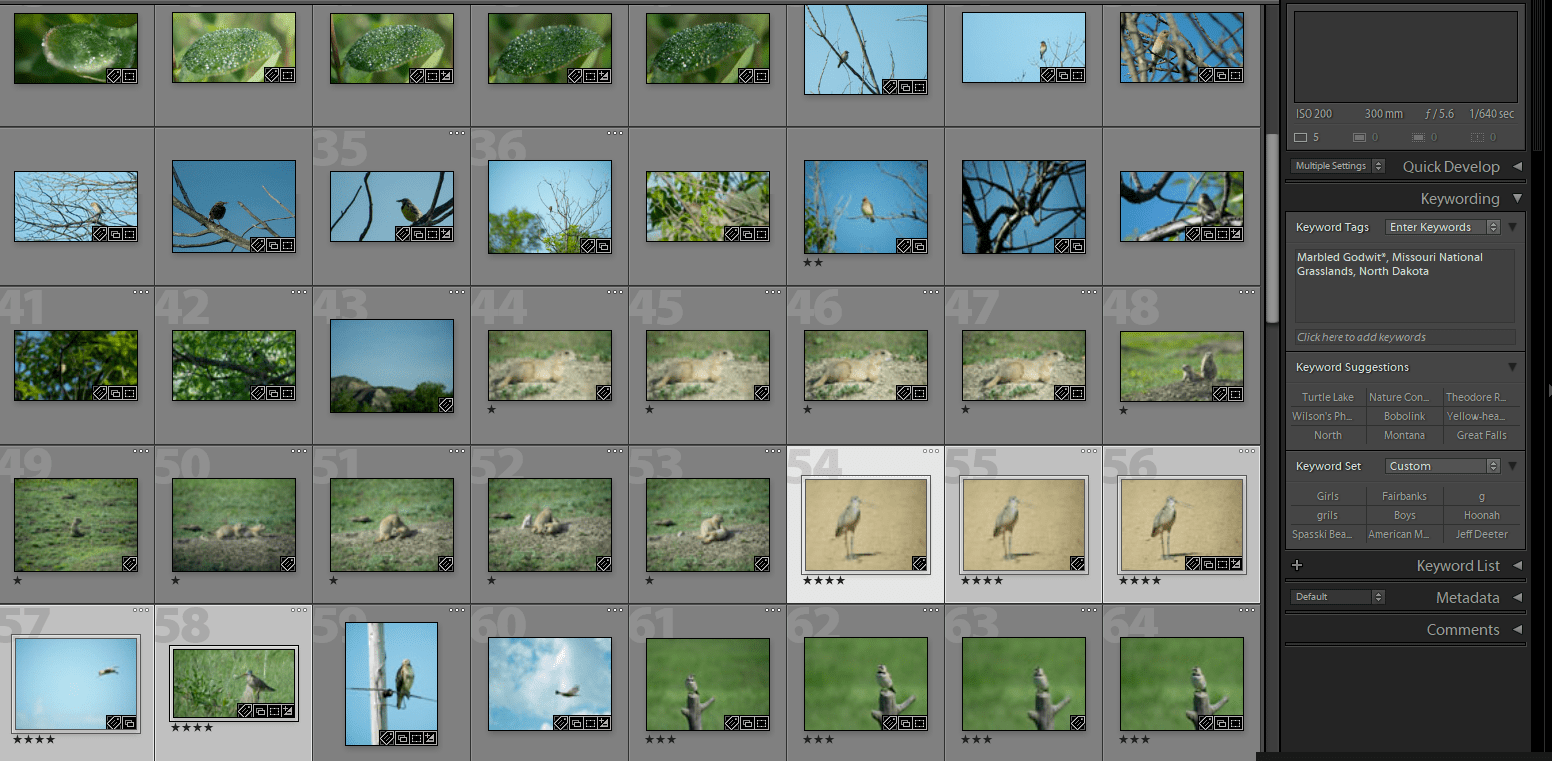 Lightroom, Stars, Workflow, Help